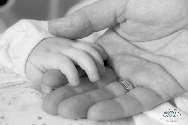 Dag lieve Vienna.jpg