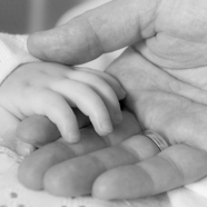 Dag lieve Vienna.jpg